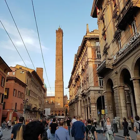 Your Comfort - * Bologna