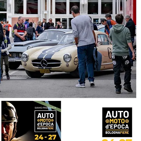 Your Comfort - Bologna